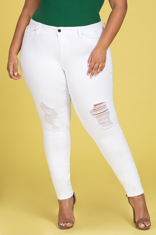 PLUS SIZE DENIM